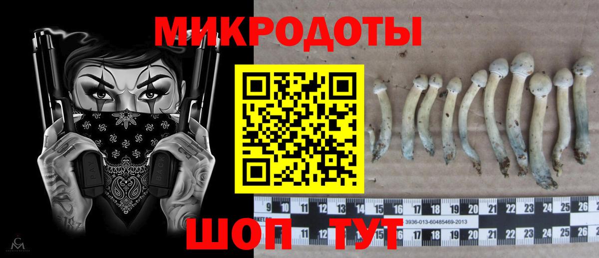 Галлюциногенные грибы прущие грибы Саров